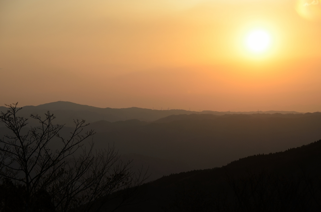 DSC_9979_01