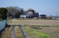 K5GP8283