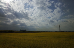 R0010020