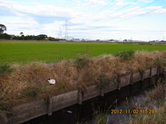 R0043224