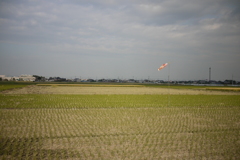 P1030007