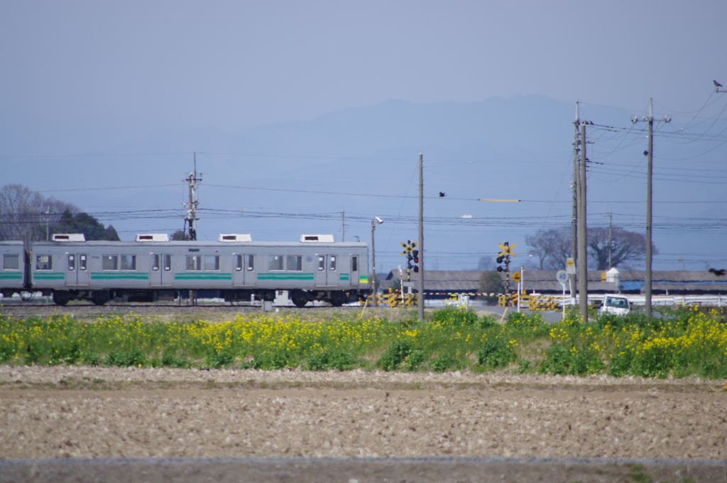 IMGP9864