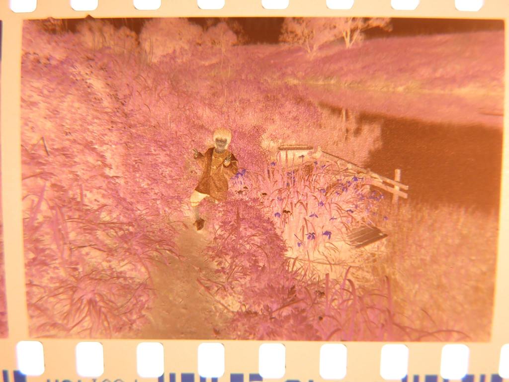 12240246_863768180405085_365467763284130