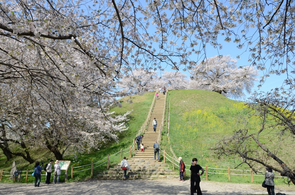 903864_368869193228322_205380584_o