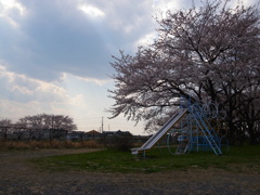 R0034295