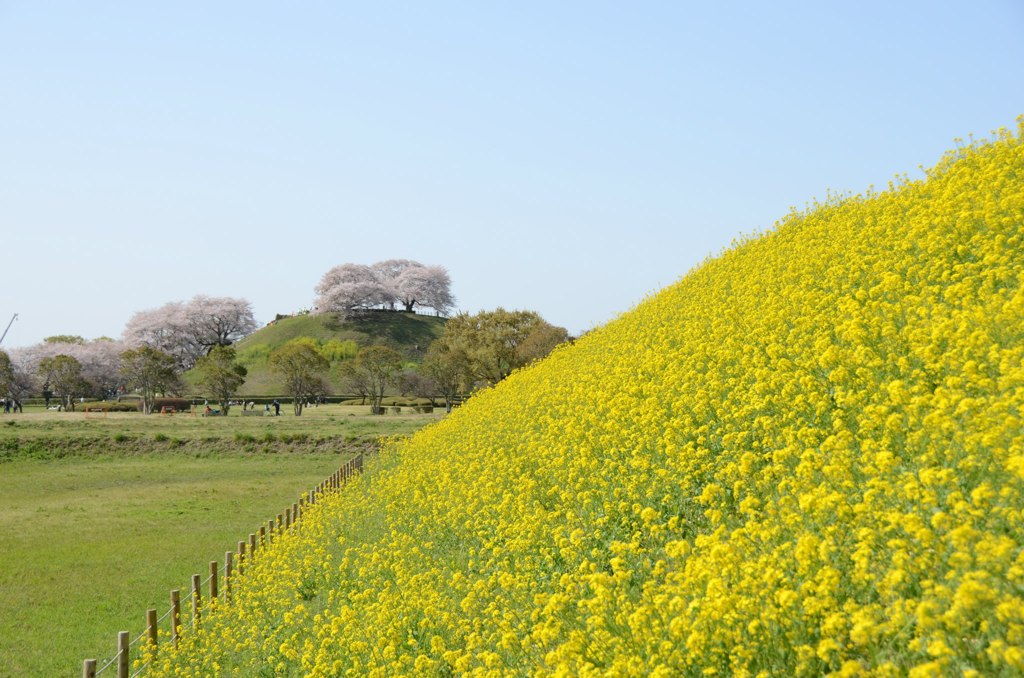 893997_368873246561250_188908200_o