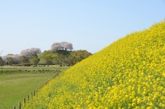 893997_368873246561250_188908200_o