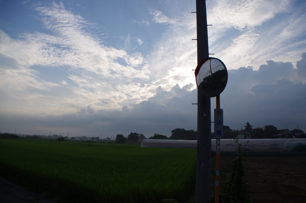IMGP6577