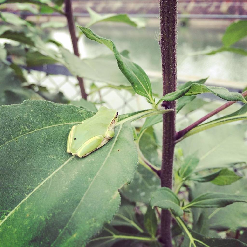 11224136_840234419425128_775773183938065