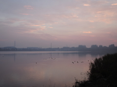DSCN2020