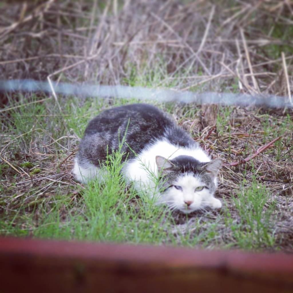 11951498_841121812669722_490864342771916