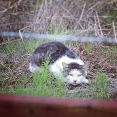 11951498_841121812669722_490864342771916