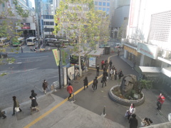 DSCN4115