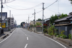 IMGP6247
