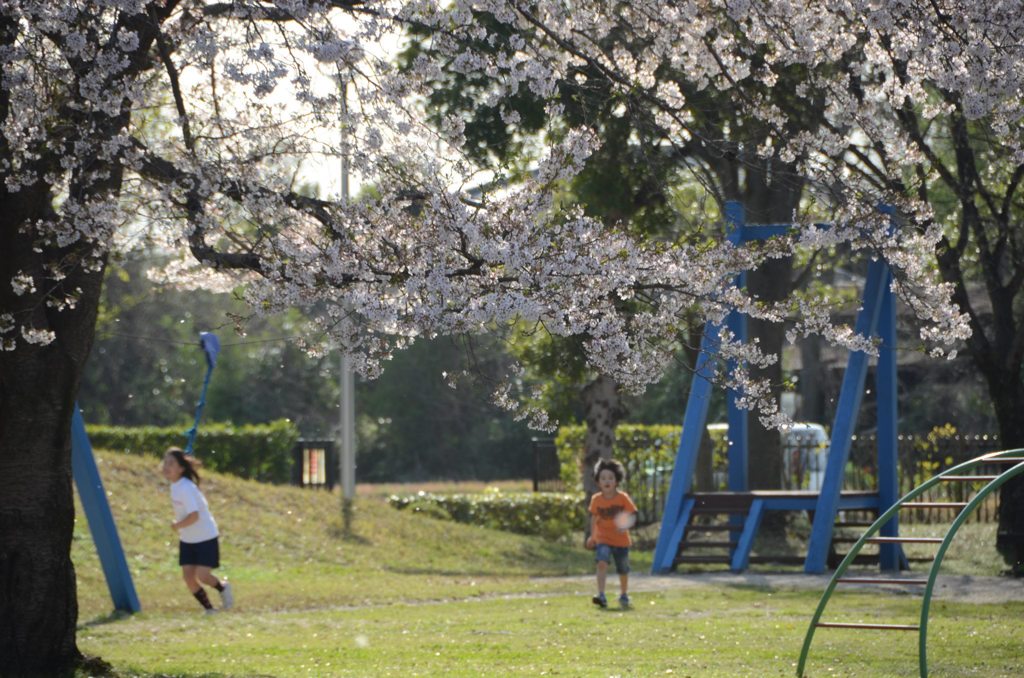 885452_368873899894518_416487297_o