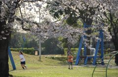 885452_368873899894518_416487297_o