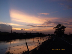 R0040774