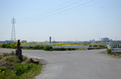 DSC_4251