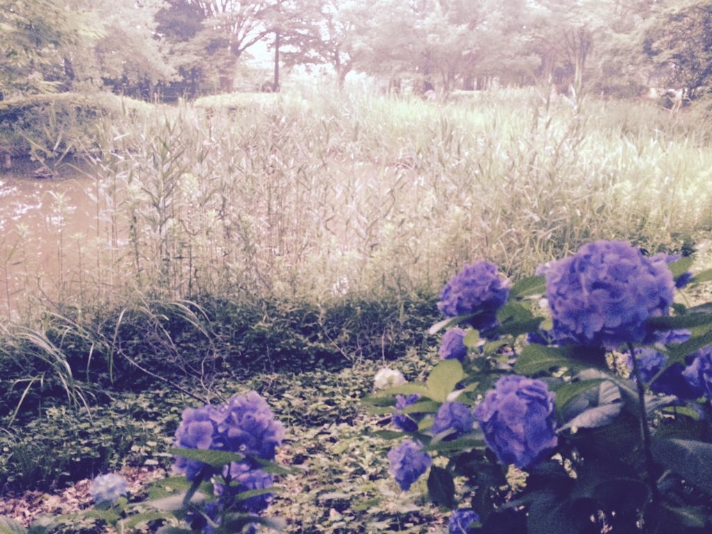 01284856ebdaf2b160957641e880eaa15f309007