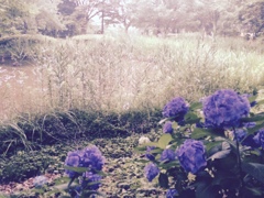 01284856ebdaf2b160957641e880eaa15f309007