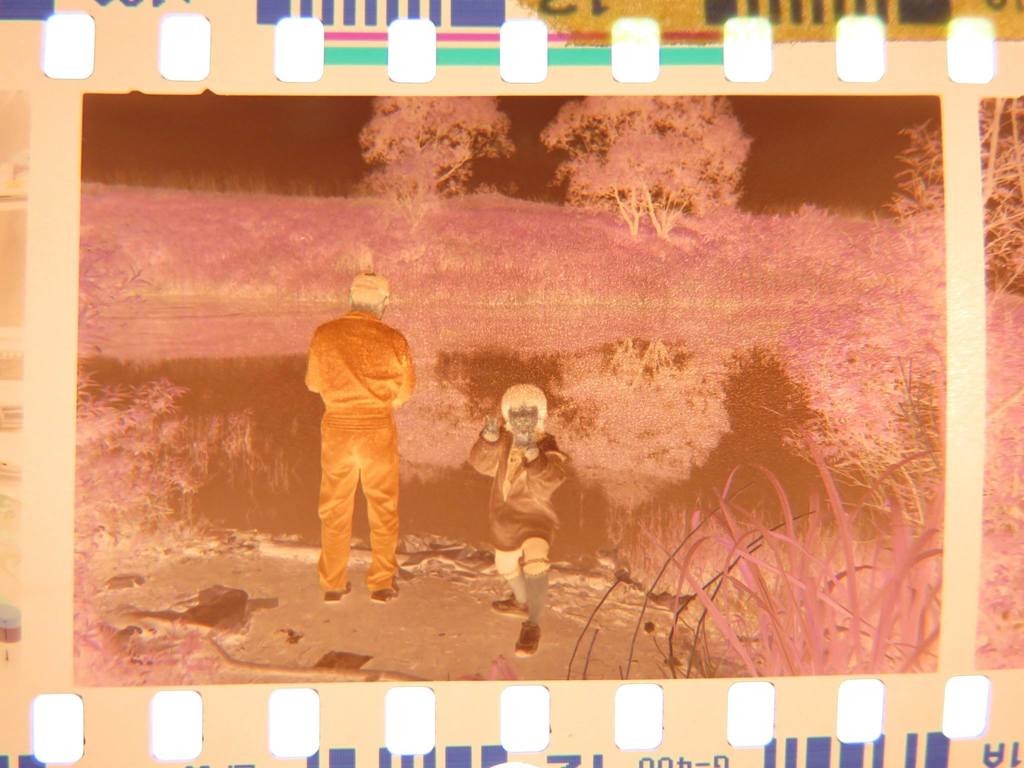 12240251_863768013738435_155346599760393