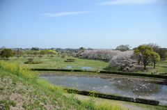 902840_368869429894965_54603922_o