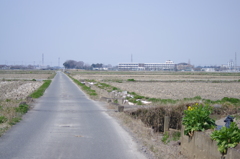 IMGP9734