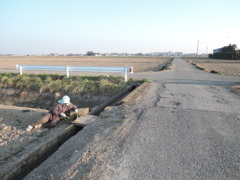DSCN7394