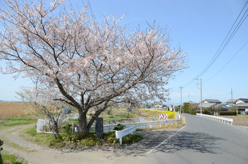 882215_368867629895145_422088238_o