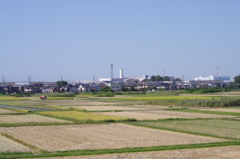 IMGP6922