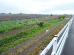 DSCN9585