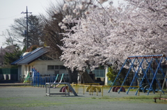 K5GP8198