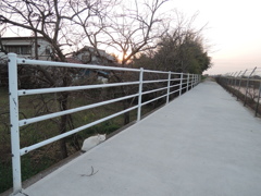DSCN7796