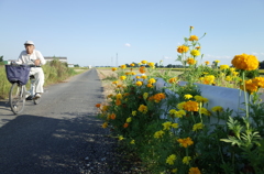 R0012383