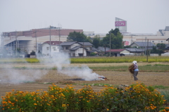 IMGP7562