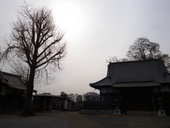 R0034451