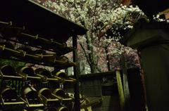 903627_367154593399782_1520487759_o