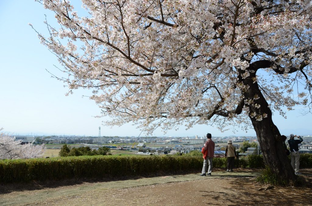 883803_368869946561580_28260850_o