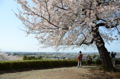 883803_368869946561580_28260850_o