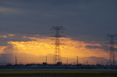 IMGP7982