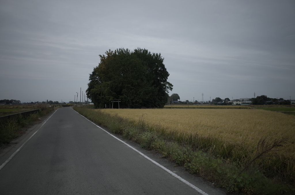 R0039152