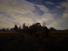 R0043619