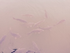 01f92dfea55051223e698bf307c7a9a5e674c001