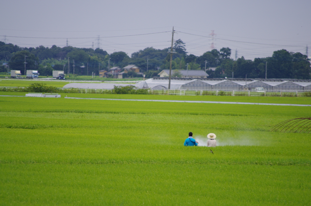 市