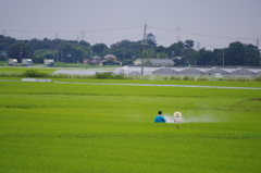 市