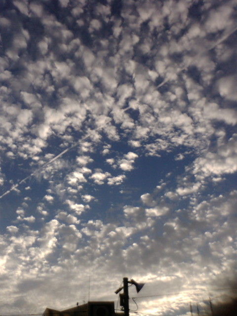 ひこうき雲とひつじ雲