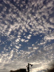 ひこうき雲とひつじ雲