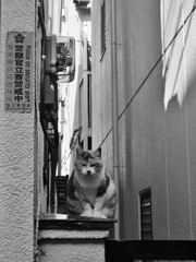 警察官立寄警戒中