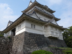 DSCN4729