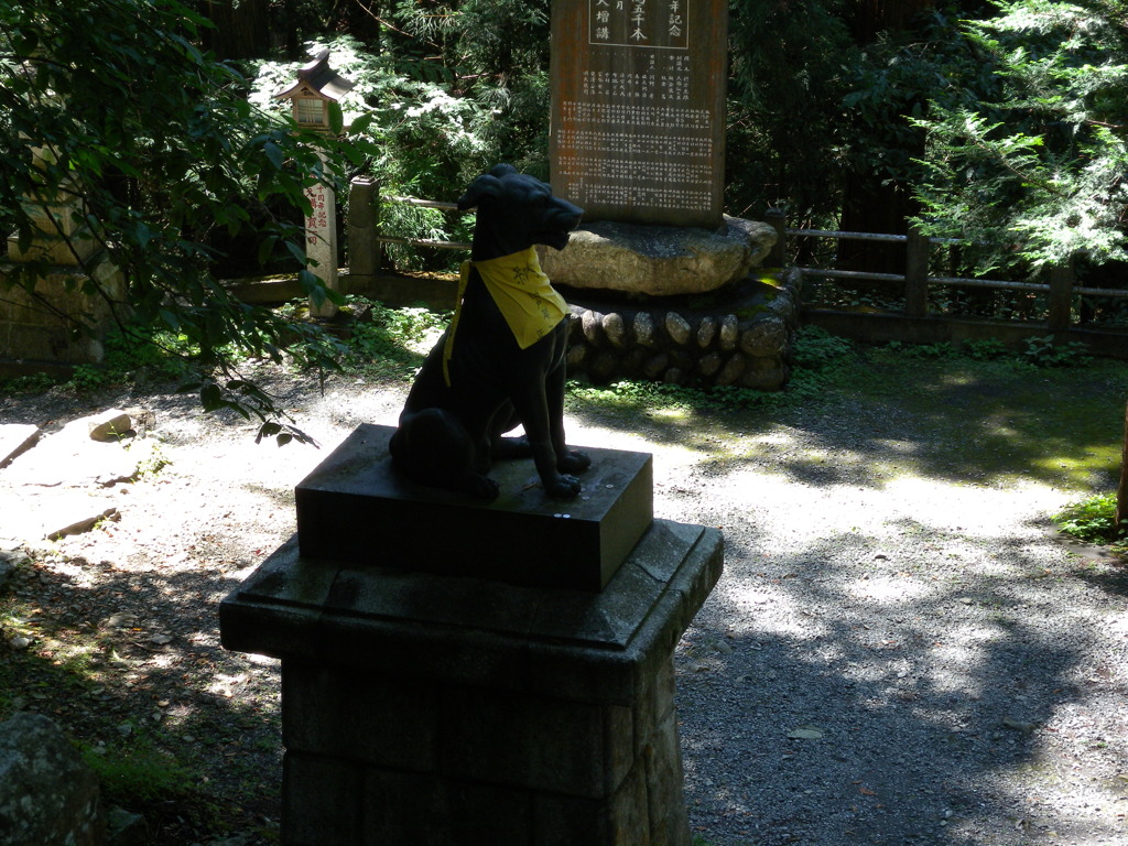 DSCN4682